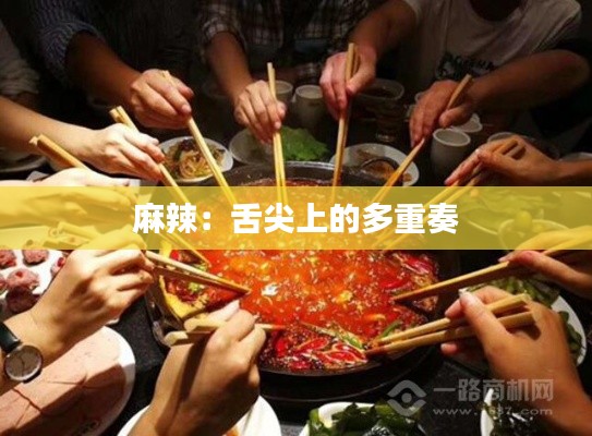 麻辣:舌尖上的多重奏