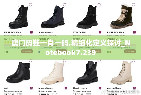 澳门码鞋一肖一码,精细化定义探讨_Notebook7.239