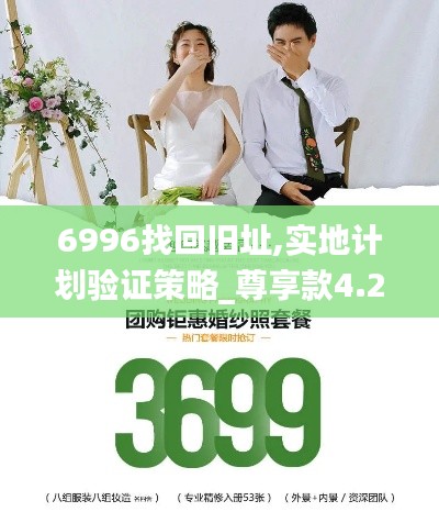 6996找回旧址,实地计划验证策略_尊享款4.278