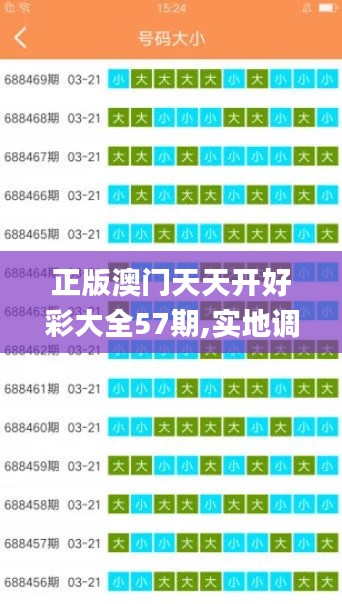 正版澳门天天开好彩大全57期,实地调研解释定义_创意版14.688