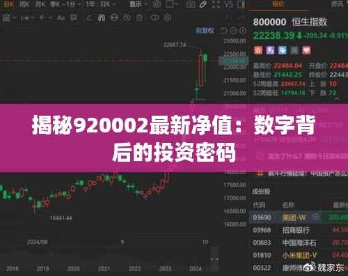揭秘920002最新净值:数字背后的投资密码