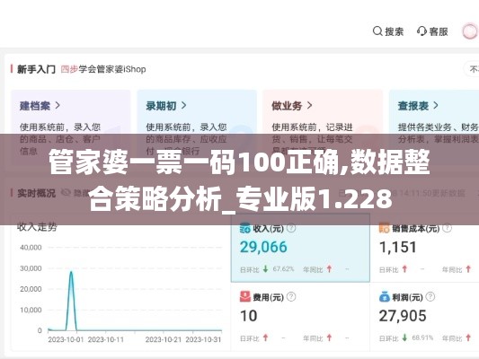 管家婆一票一码100正确,数据整合策略分析_专业版1.228