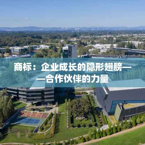 商标:企业成长的隐形翅膀——合作伙伴的力量