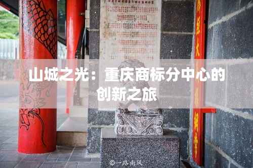 山城之光:重庆商标分中心的创新之旅