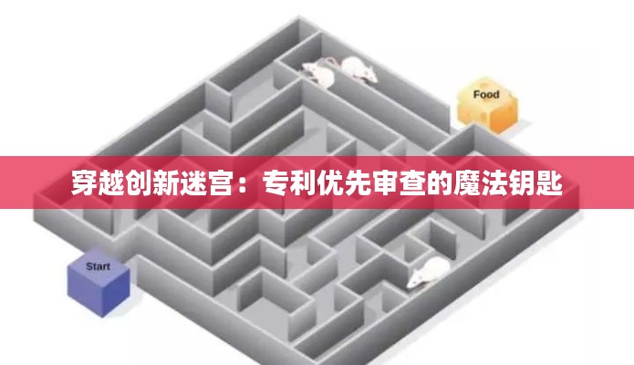 穿越创新迷宫:专利优先审查的魔法钥匙