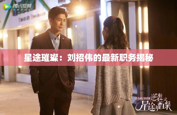 星途璀璨:刘招伟的最新职务揭秘