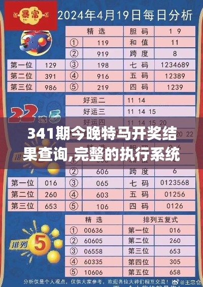 341期今晚特马开奖结果查询,完整的执行系统评估_Mixed3.424