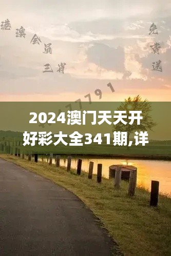 2024澳门天天开好彩大全341期,详细数据解释定义_专家版8.959