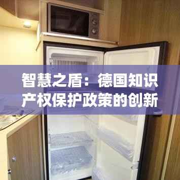智慧之盾:德国知识产权保护政策的创新之旅