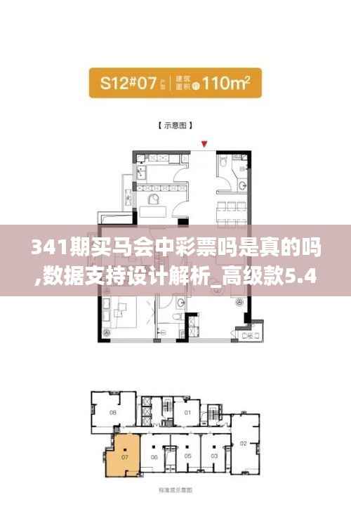 341期买马会中彩票吗是真的吗,数据支持设计解析_高级款5.404