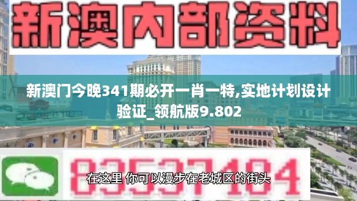 新澳门今晚341期必开一肖一特,实地计划设计验证_领航版9.802