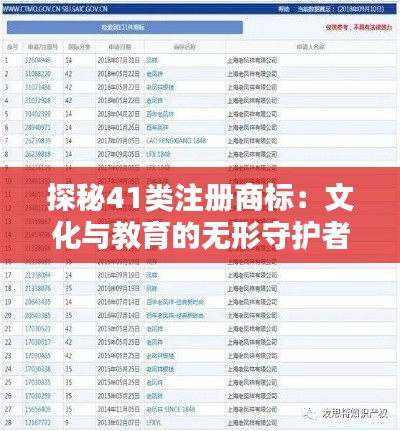 探秘41类注册商标:文化与教育的无形守护者