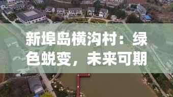 新埠岛横沟村：绿色蜕变，未来可期