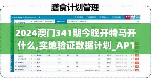 2024澳门341期今晚开特马开什么,实地验证数据计划_AP17.390