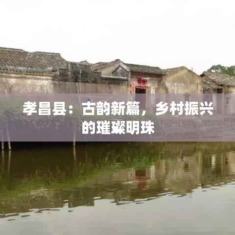 孝昌县：古韵新篇，乡村振兴的璀璨明珠