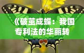 《破茧成蝶:我国专利法的华丽转身》