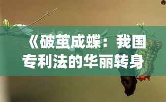 《破茧成蝶:我国专利法的华丽转身》