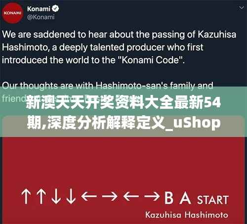 知识产权预算中心 第393页