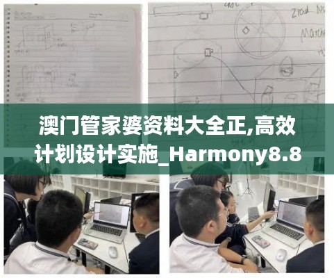 澳门管家婆资料大全正,高效计划设计实施_Harmony8.863