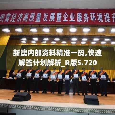 新澳内部资料精准一码,快速解答计划解析_R版5.720
