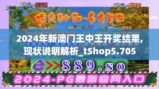 2024年新澳门王中王开奖结果,现状说明解析_tShop5.705
