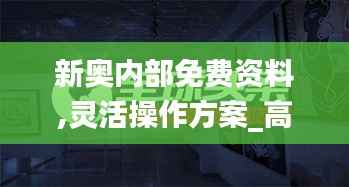 新奥内部免费资料,灵活操作方案_高级版3.869