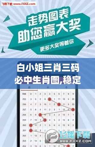 白小姐三肖三码必中生肖图,稳定性计划评估_Galaxy4.556