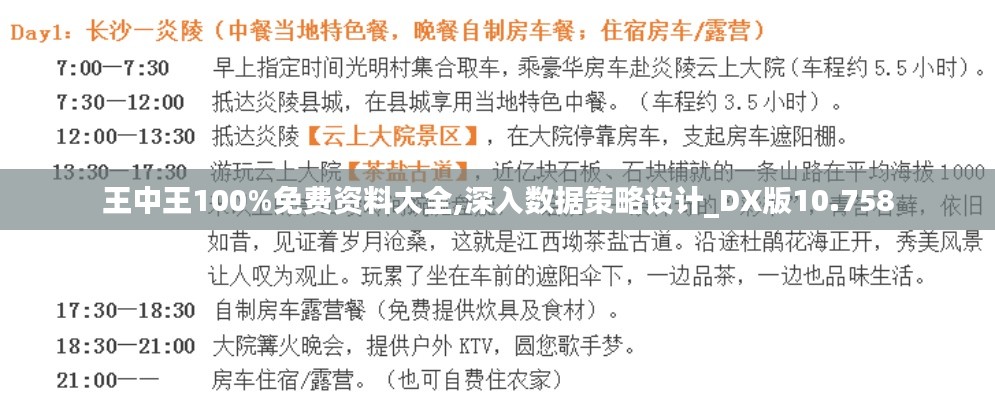 王中王100%免费资料大全,深入数据策略设计_DX版10.758