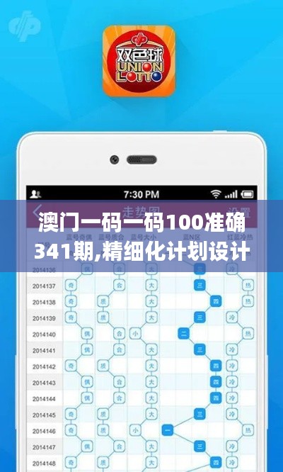 澳门一码一码100准确341期,精细化计划设计_V版2.696