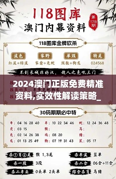 2024澳门正版免费精准资料,实效性解读策略_运动版1.521