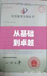 从基础到卓越：基础型专利与改进型专利的创新之旅
