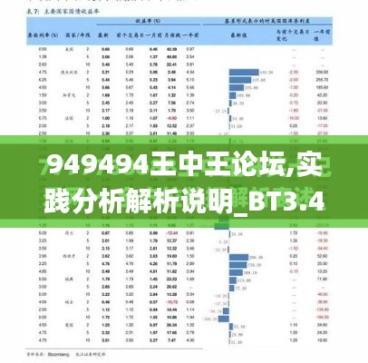 949494王中王论坛,实践分析解析说明_BT3.411