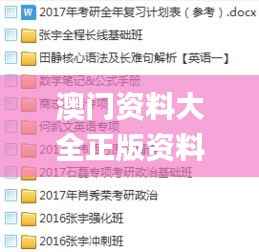 澳门资料大全正版资料341期,高效性实施计划解析_MP6.608