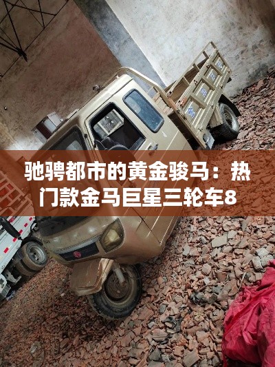 驰骋都市的黄金骏马:热门款金马巨星三轮车800探秘