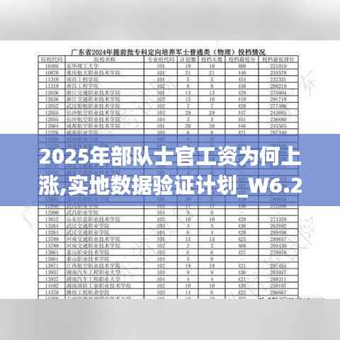2025年部队士官工资为何上涨,实地数据验证计划_W6.227