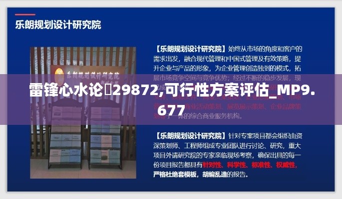 雷锋心水论枟29872,可行性方案评估_MP9.677