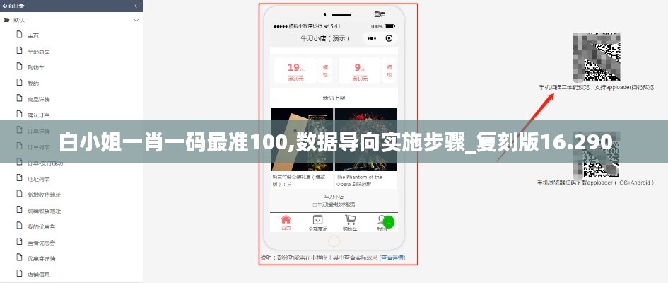 白小姐一肖一码最准100,数据导向实施步骤_复刻版16.290