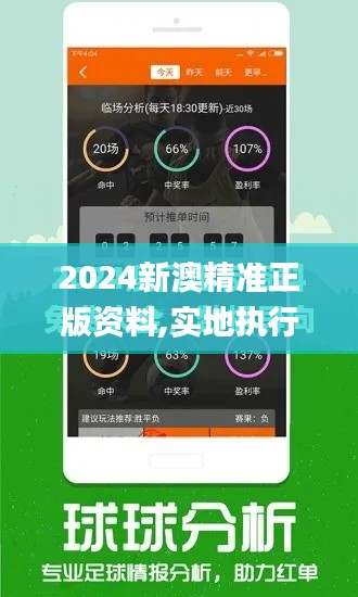 2024新澳精准正版资料,实地执行考察数据_模拟版12.831