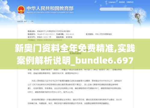 新奥门资料全年免费精准,实践案例解析说明_bundle6.697