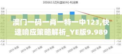 澳门一码一肖一特一中123,快速响应策略解析_YE版9.989