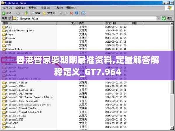 香港管家婆期期最准资料,定量解答解释定义_GT7.964