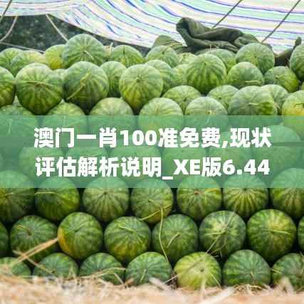 澳门一肖100准免费,现状评估解析说明_XE版6.446