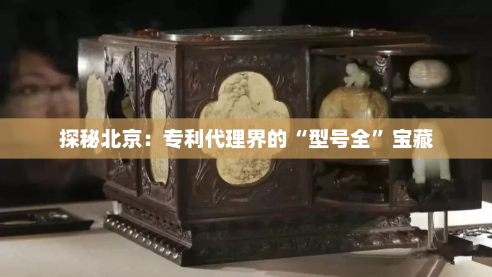 探秘北京:专利代理界的“型号全”宝藏