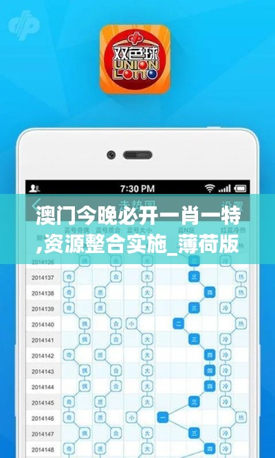 澳门今晚必开一肖一特,资源整合实施_薄荷版6.162