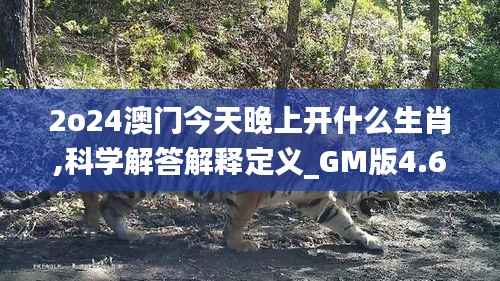 2o24澳门今天晚上开什么生肖,科学解答解释定义_GM版4.608