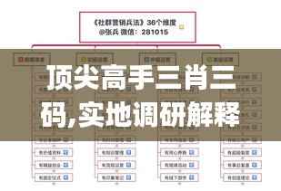 顶尖高手三肖三码,实地调研解释定义_AR9.315