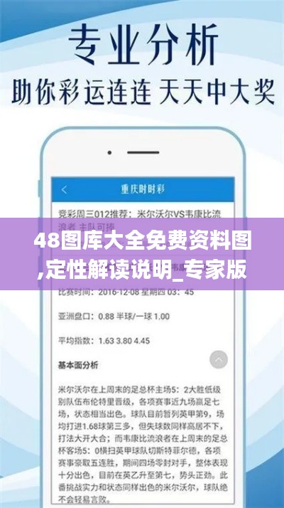 48图库大全免费资料图,定性解读说明_专家版8.886