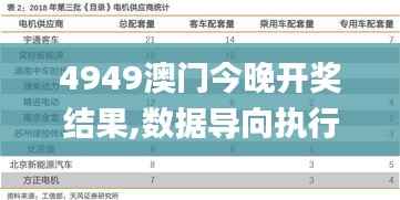 4949澳门今晚开奖结果,数据导向执行解析_完整版1.912