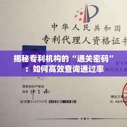 揭秘专利机构的“通关密码”:如何高效查询通过率