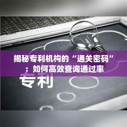 揭秘专利机构的“通关密码”:如何高效查询通过率